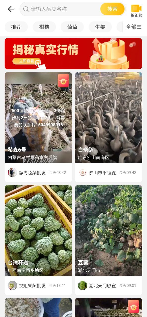 一畝田移動版下載