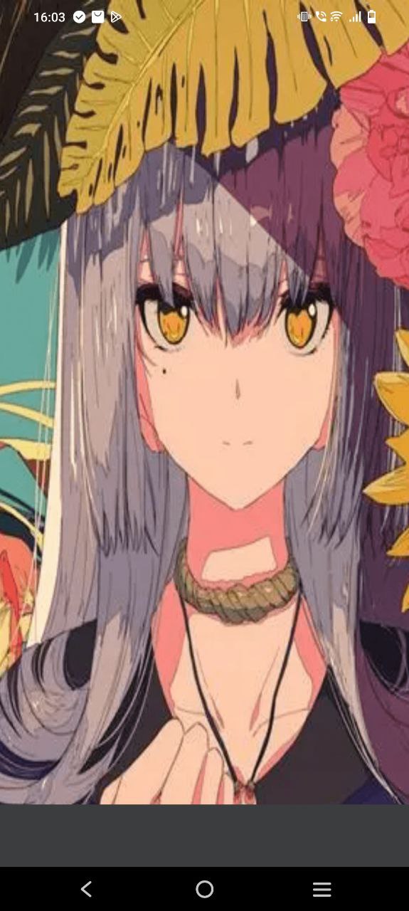 追漫大師