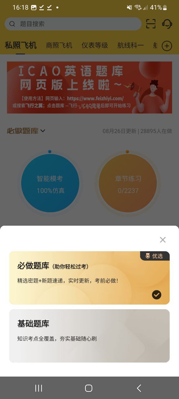 飛行之翼
