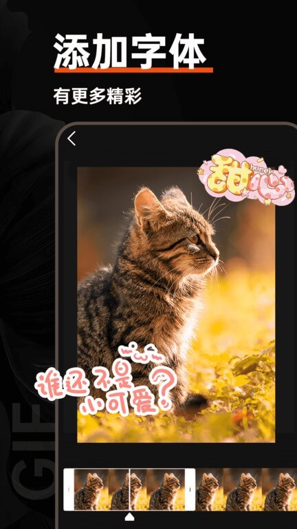 gif動(dòng)圖制作器2024版本免費(fèi)