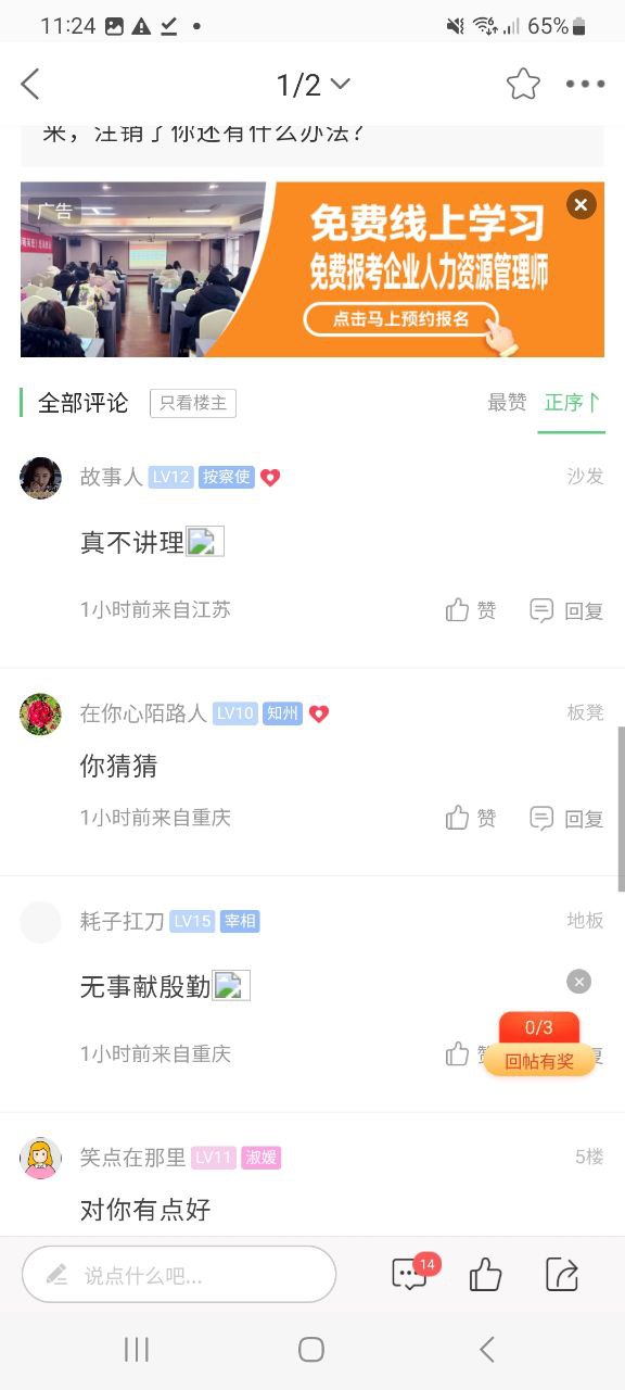 茶竹永川網