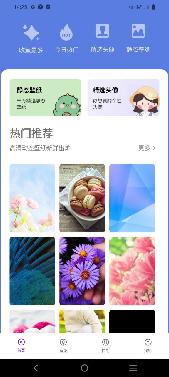 次元喵動(dòng)漫