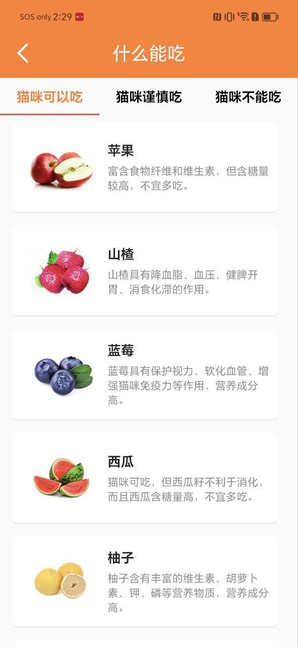貓語(yǔ)翻譯寶