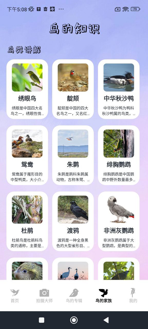 小鳥壁紙