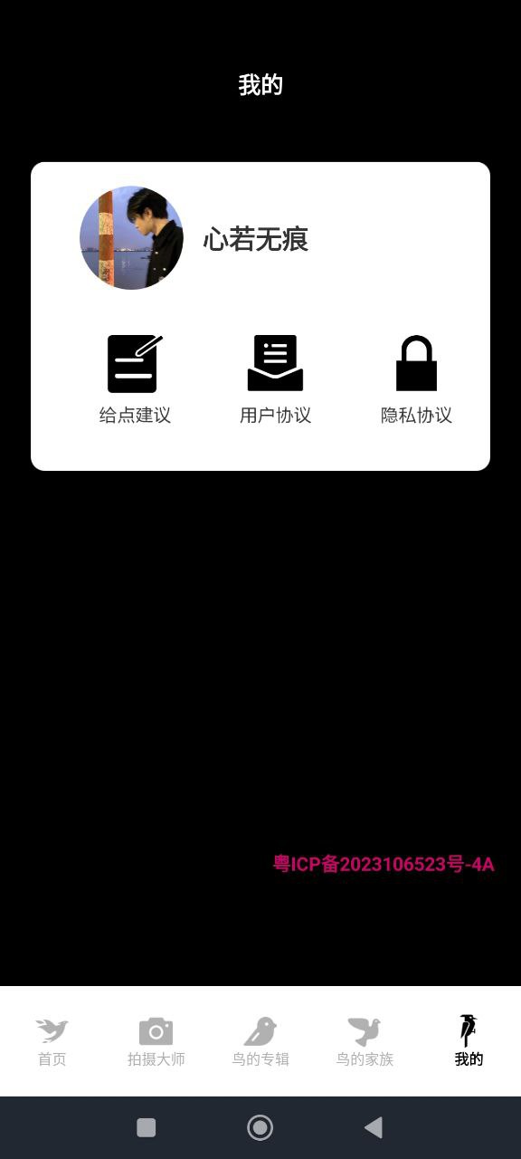 小鳥壁紙