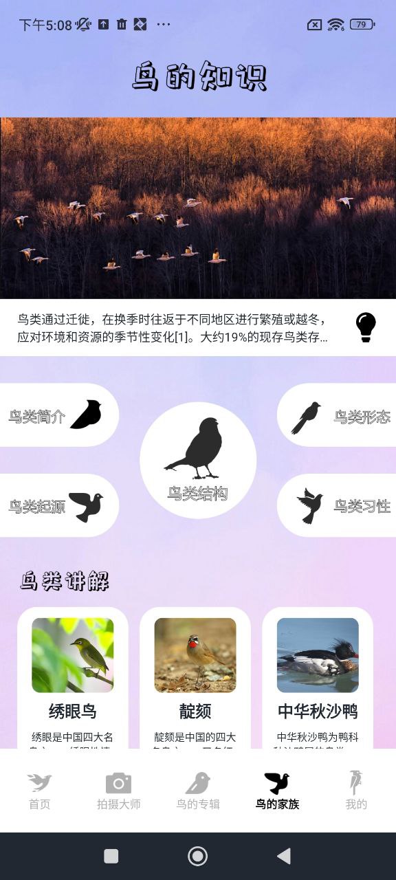 小鳥壁紙