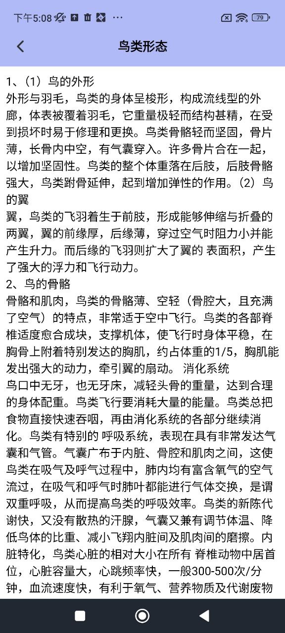 小鳥壁紙