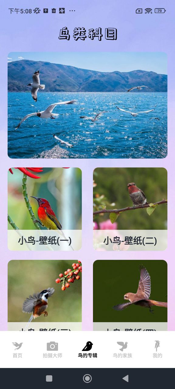 小鳥壁紙