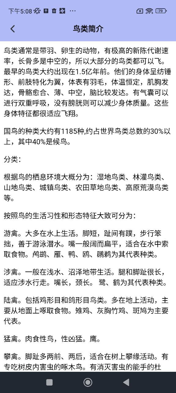 小鳥壁紙