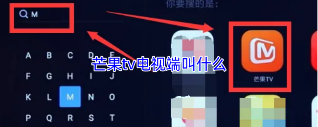 《芒果TV》芒果TV電視端的名稱是什么？