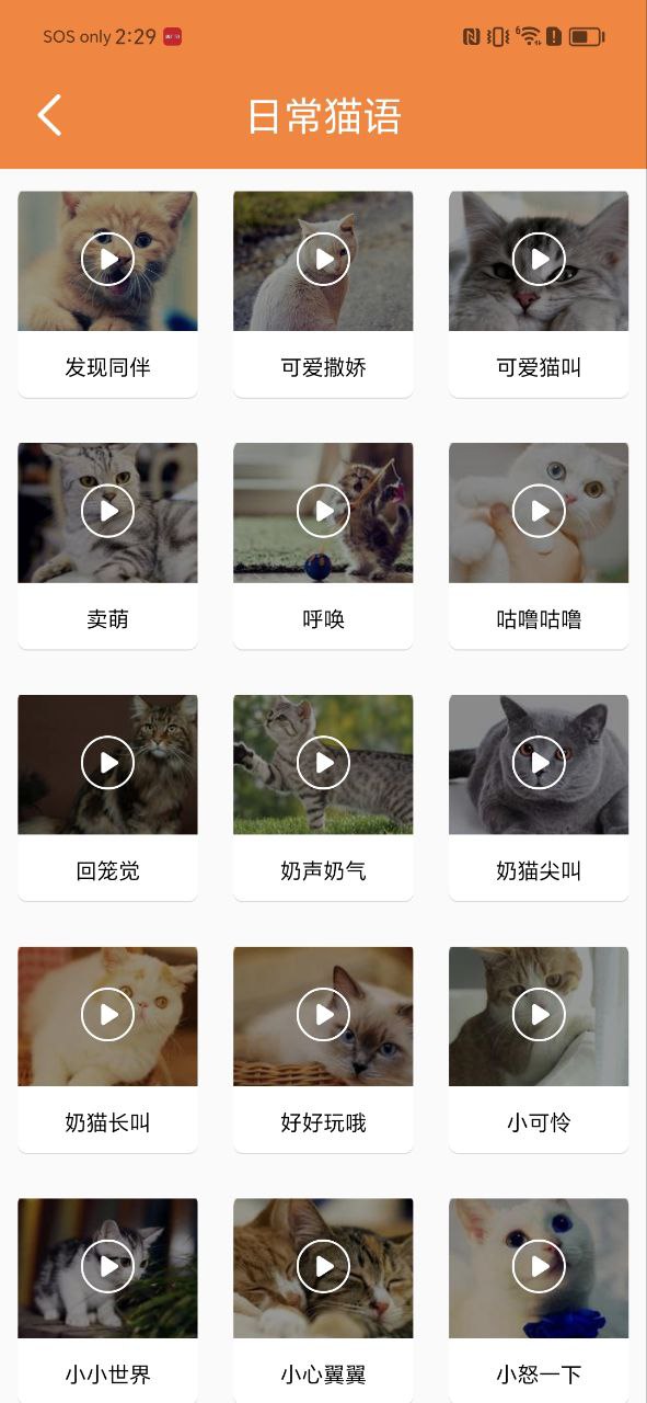 貓語(yǔ)翻譯寶怎么用