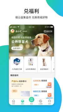 志愿匯app下載