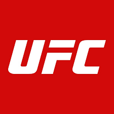 實時體驗！十大UFC賽事直播平臺推薦